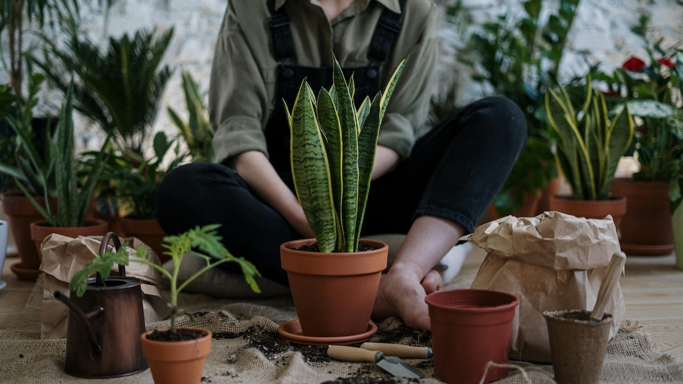 A person sitting on the floor in front of a freshly repotted plant, surrounded by empty pots, soil, and gardening tools.